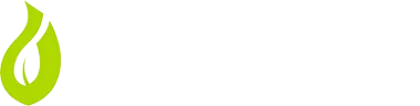 Volvoi